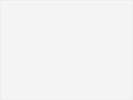 dannylabonte  GIF