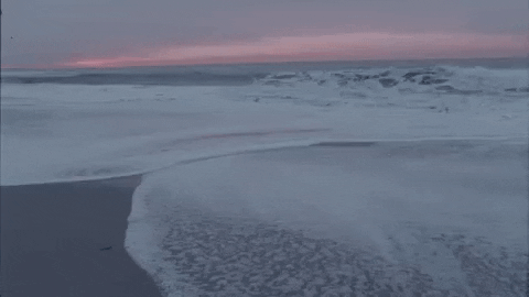 Music Video Beach GIF by Lewis Del Mar - Find & Share on GIPHY