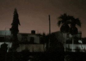 souvikmajumdar  GIF