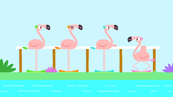 stretching pink flamingos GIF by Hey Duggee