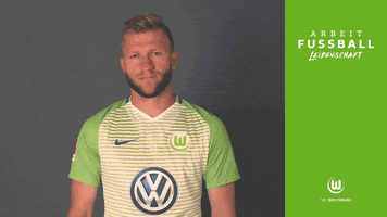 jakub blaszczykowski yes GIF by VfL Wolfsburg