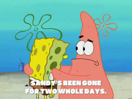season 5 episode 10 GIF by SpongeBob SquarePants