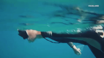200.gif?cid=fc005b085642e95b1d78abf958f1676f6e9c413c051ccd35&rid=200.gif&ct=g
