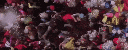 Main Hoon Na Bollywood GIF by bypriyashah