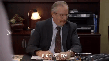 200.gif?cid=fc005b0850093c93b0efda00c76e6db6ec8ebc552baaed9f&rid=200.gif&ct=g