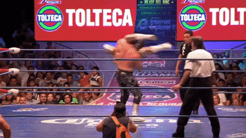 lucha libre mexico GIF