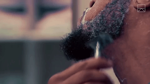 Beard GIF - Find & Share on GIPHY