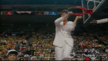 200.gif?cid=fc005b08dc7e74927ef9f8dcd43af3f668b25b6892ebb886&rid=200.gif&ct=g