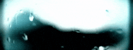 Nuclear Blast Recordings GIF by Despised Icon
