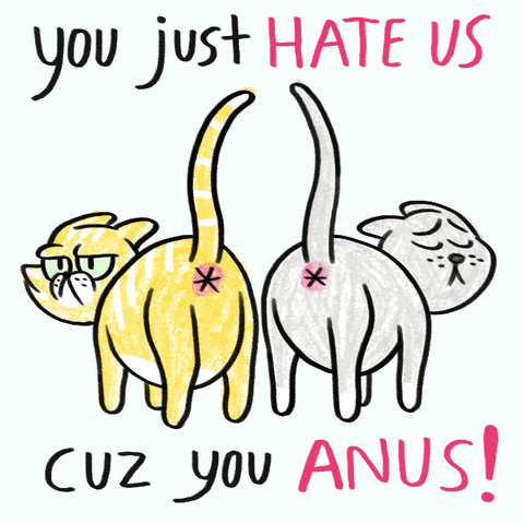 Cats You Just Hate Us Cuz You Anus GIF by Studios 2016