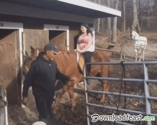 giphy.gif