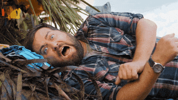 Brian Sacca Omg GIF by Wrecked