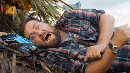 giphy.gif?cid=790b7611e75714bac54e821bb2