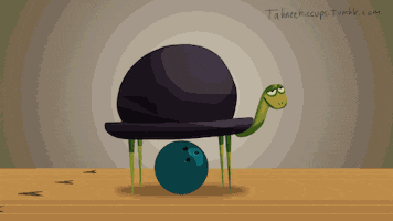 tahnee animation animated hat turtle GIF
