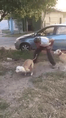 oops  GIF