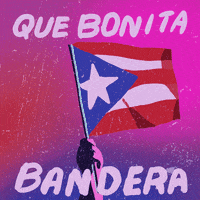 Puerto Rico Flag GIF by GIPHY Studios Originals