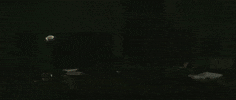 code coding GIF by Monstercat
