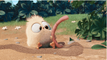 the angry birds movie bird GIF by Angry Birds