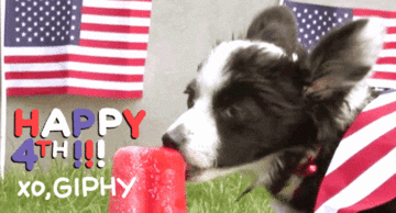 4Th Of July GIF by GIPHY Studios Originals - Find & Share on GIPHY