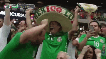 Viva Mexico Celebration GIF by Univision Deportes