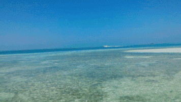 Seaplane Taking Off In The Maldives GIF