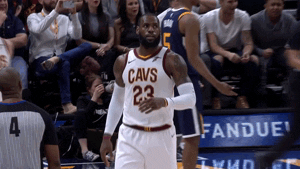 count it lebron james GIF by NBA