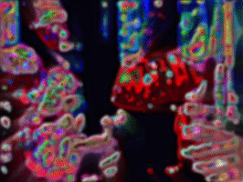 200.gif?cid=fc005b08d364256416b4b0c33b0e54d745cbae0712a1c309&rid=200.gif&ct=g