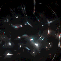 kronogenesis megasoma GIF