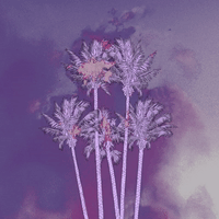 mania fobmania GIF by Fall Out Boy