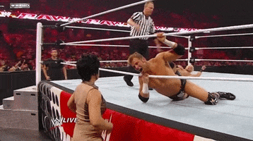 wrestling slap GIF by WWE