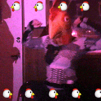 chicken meetup GIF by The Lot Radio