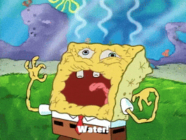 Season 2 Hydration GIF by SpongeBob SquarePants