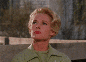 dodivecchioni alfred hitchcock the birds tippi hedren gli uccelli GIF