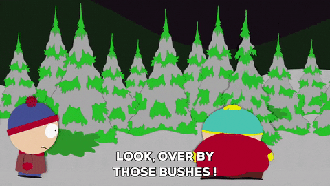 bushes