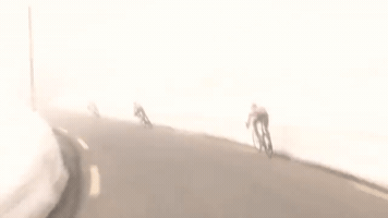 georgescott-e79c  GIF