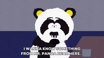 panda speaking GIF by South Park 