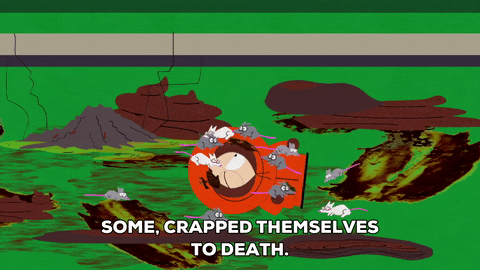 giphy.gif