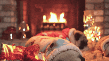 Winter Wonderland Snow GIF by Columbia Records