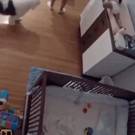 nhocs  GIF