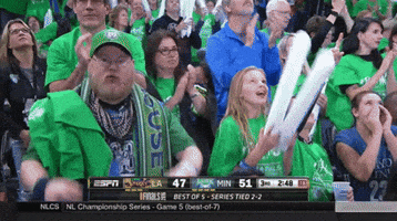 Excited Game 5 GIF by WNBA