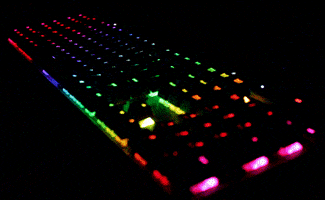 drewgrayhealeyhotmailcom  GIF