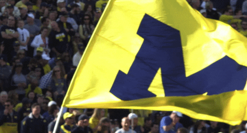 Michigan Wolverines Football GIFs - Get the best GIF on GIPHY