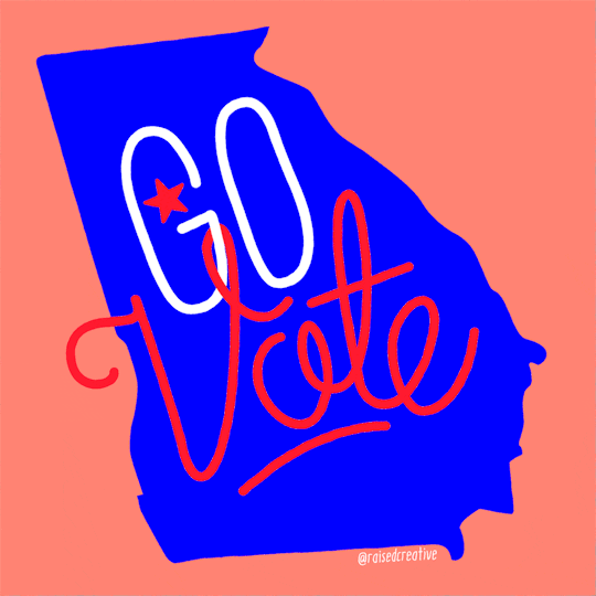 Stacey Abrams Election GIF by #GoVote