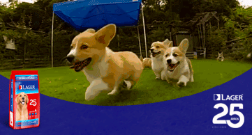 lager perros corriendo GIF