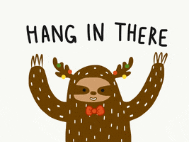 Hang In There Christmas GIF by J