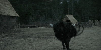 the witch horror GIF by A24