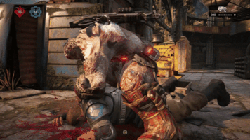 wolflover  GIF