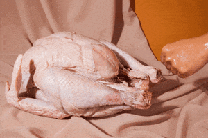 family thanksgiving GIF by LAZY MOM