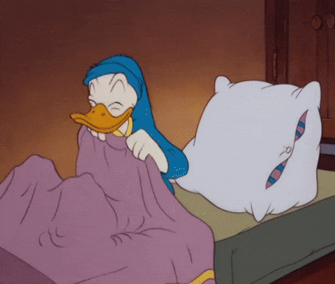 donald duck bed of feathers
