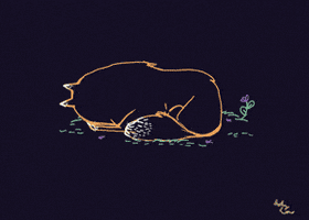 Halloween Sleeping GIF by Ashley